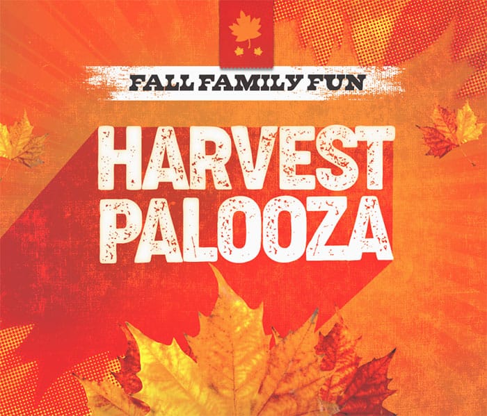 fall-media-3b