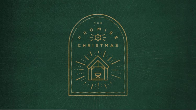 shf-christmas-media12