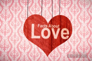 Happy Valentines Day Video Animation