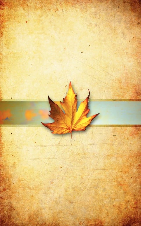 Autumn Leaf Bulletin