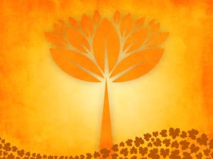 Fall Trees Worship Background