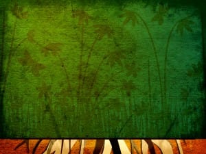 Green Plants Background