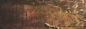 Joy of Harvest Ministry Web Banner