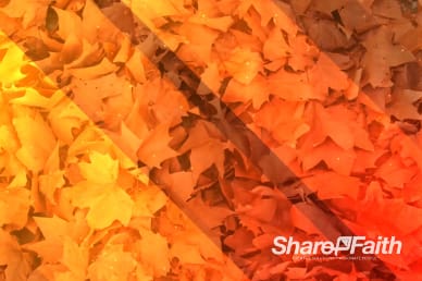 Autumn Leaves Worship Video Background