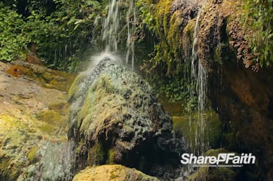 Forest Spring Nature Worship Motion Background