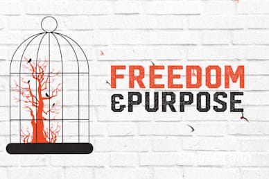 Freedom and Purpose Church Motion Graphic