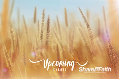 Thanksgiving Harvest Announcements Motion Graphic