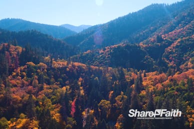 Autumn Mountain Nature Video Background
