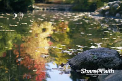 Floating Autumn Leaves Nature Background Video