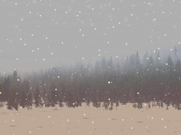 You Are Invited To Christmas Forest Worship Background