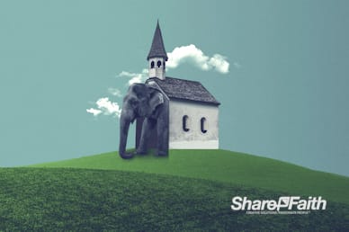 The Elephant In The Church Motion Background