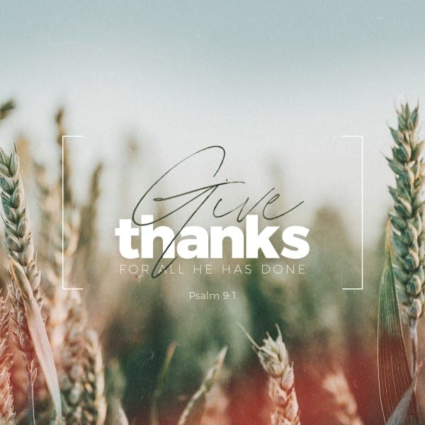 Give Thanks Field Social Media Graphic