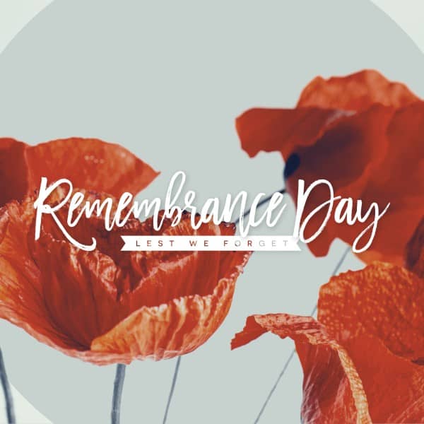 Remembrance Day Poppies Social Media Graphic