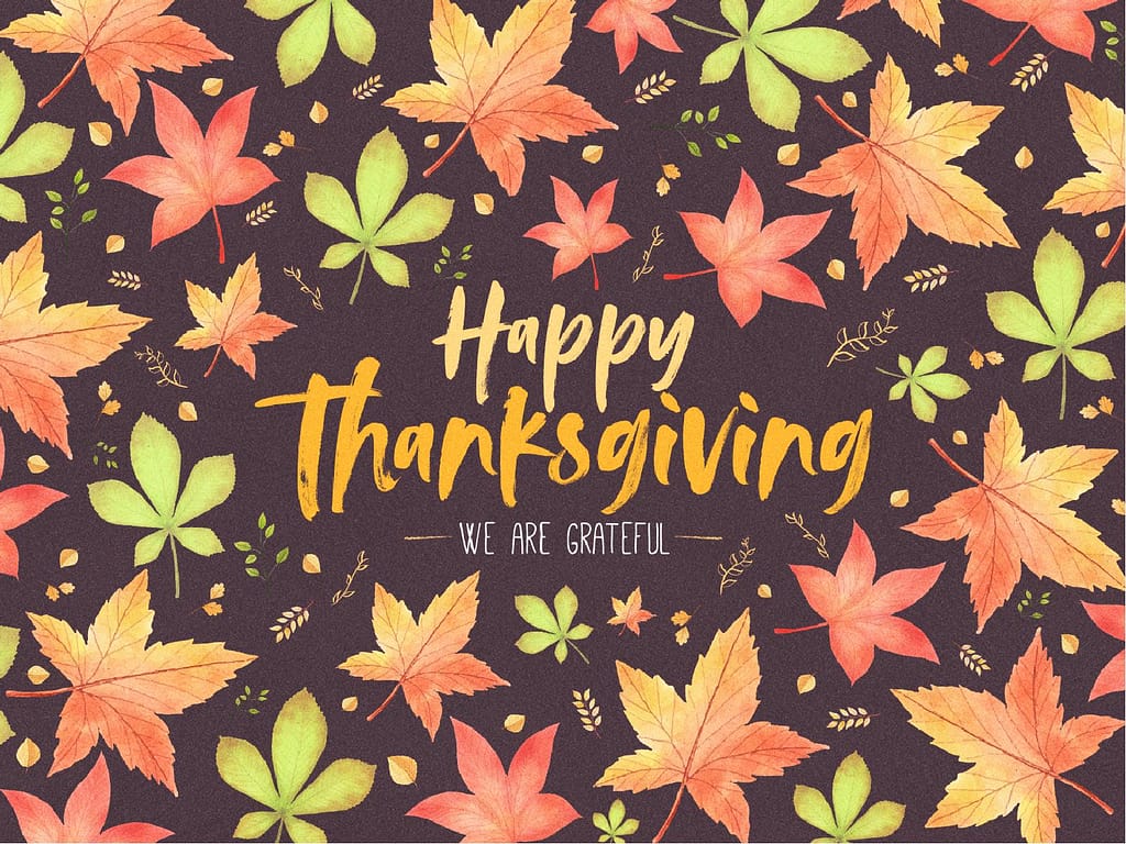 Happy Thanksgiving Holiday Graphic