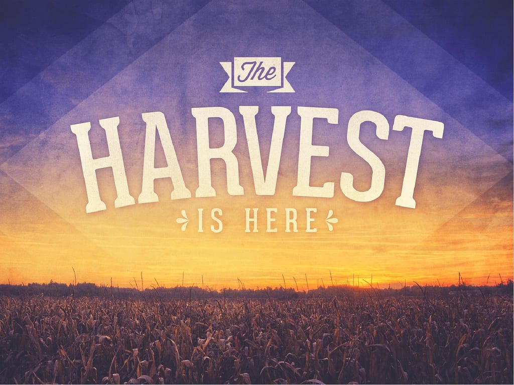 Harvest PowerPoint Sermon Slides