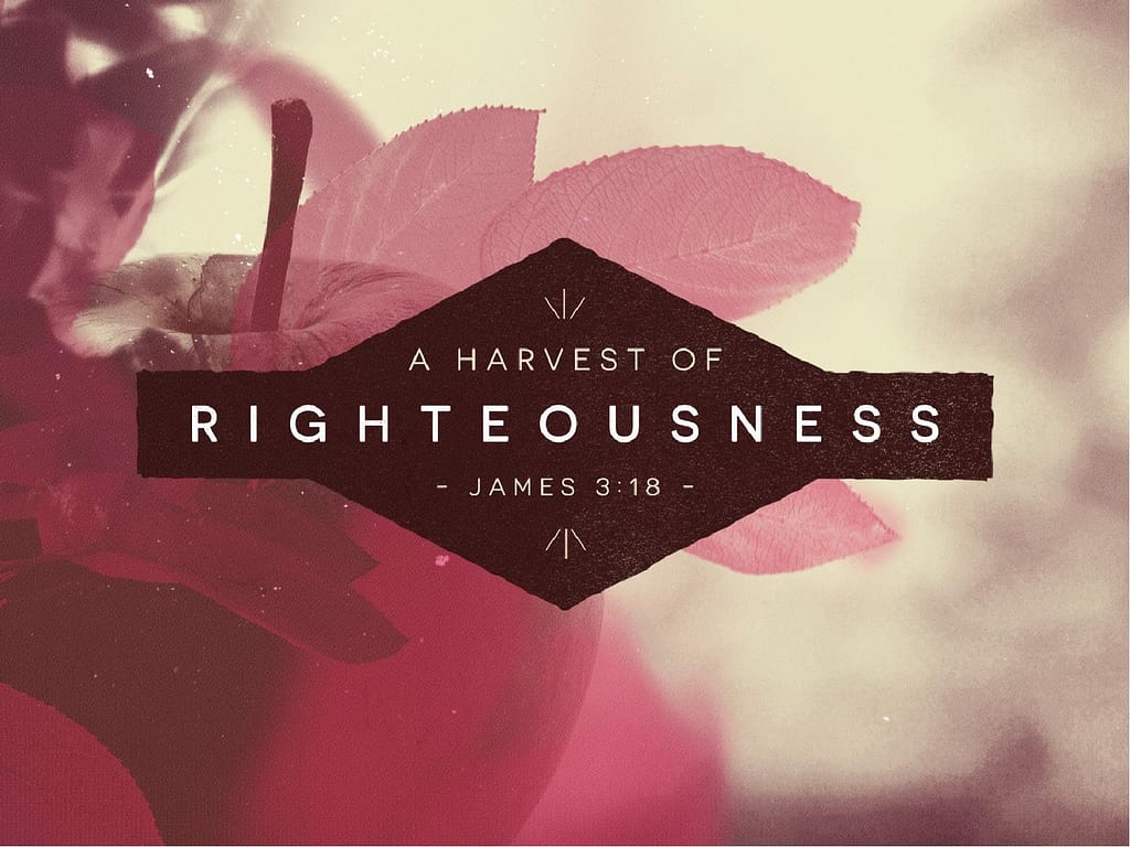 The Harvest of Righteousness Religious PowerPoint