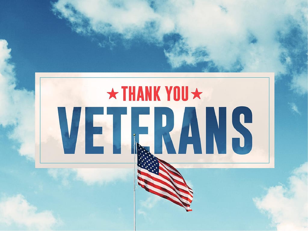 Veterans Day American Flag Graphic