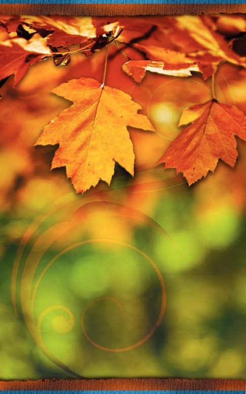 Autumn Leaves Church Bulletin Cover