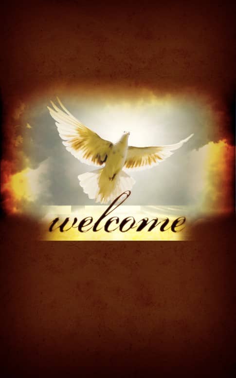 Holy Spirit The Comforter Bulletin Cover