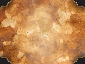 Autumn Collage Worship Background