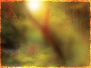 Colors Of Fall Worship Background Design