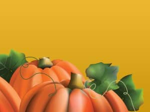 Pumpkins On The Vine Background Slide