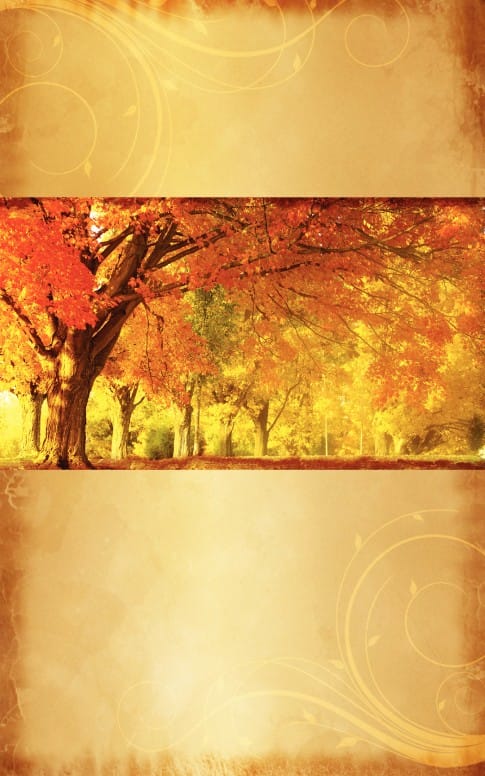 Autumn Trees Bulletin Cover
