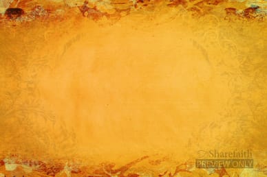 Harvest Colors Background Video