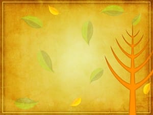 Leaves Changing Worship Background