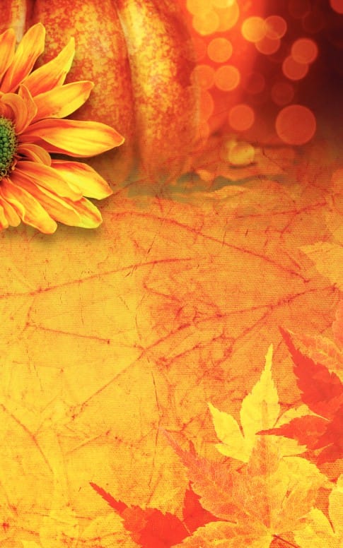 Thanksgiving Flower Bulletin Cover