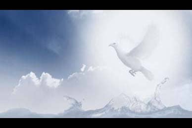 Dove Worship Video Background Loop