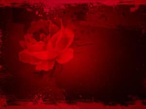 Valentine's Day Roses Worship Background