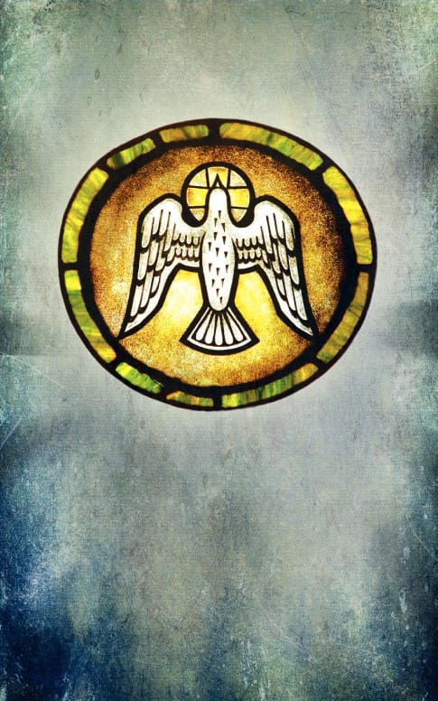 Dove Church Bulletin Cover