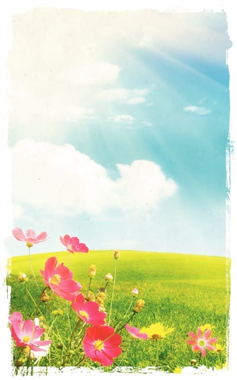 Flowers Church Bulletin Cover