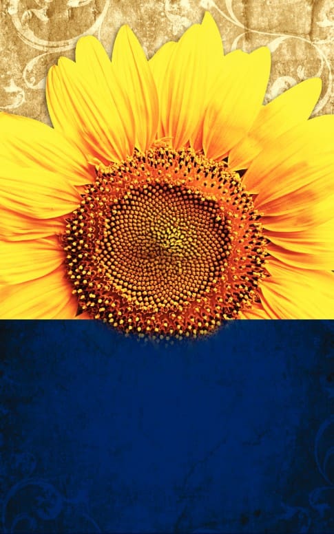 Sunflower Church Bulletin