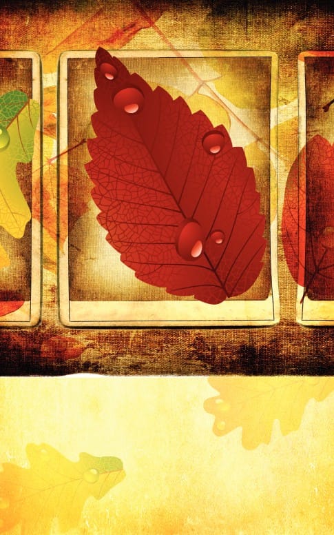 Autumn Season Church Bulletin Cover