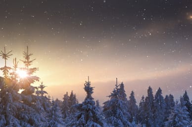 Winter Church Video