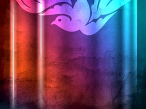 Colors and Dove Worship Background