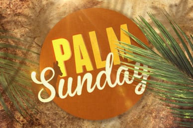 Palm Sunday Video for Church
