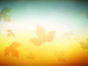 Falling Leaves Worship Still