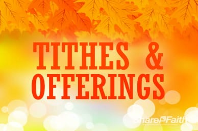 Free Fall Tithes and Offerings Church Service Video Loop