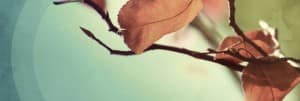Find Rest My Soul Church Banner