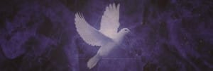 Pentecost Holy Spirit Religious Website Banner