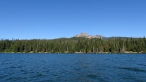 Shoreline of Trees and Mountain Views Stock Photo
