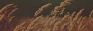 A Generous Heart Religious Web Banner