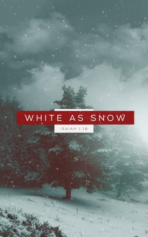 White as Snow Christian Ministry Bulletin