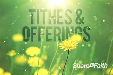 All Things New Religious Tithes and Offerings Video