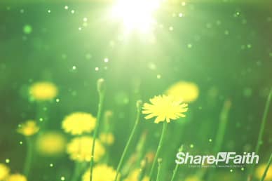 All Things New Religious Worship Video