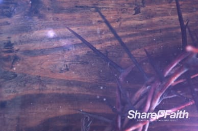Crown of Thorns Church Worship Motion Background