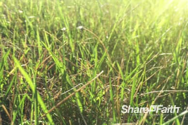 Summer Breeze Church Worship Motion Background